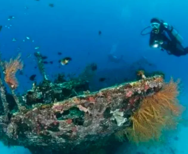 Muck Diving